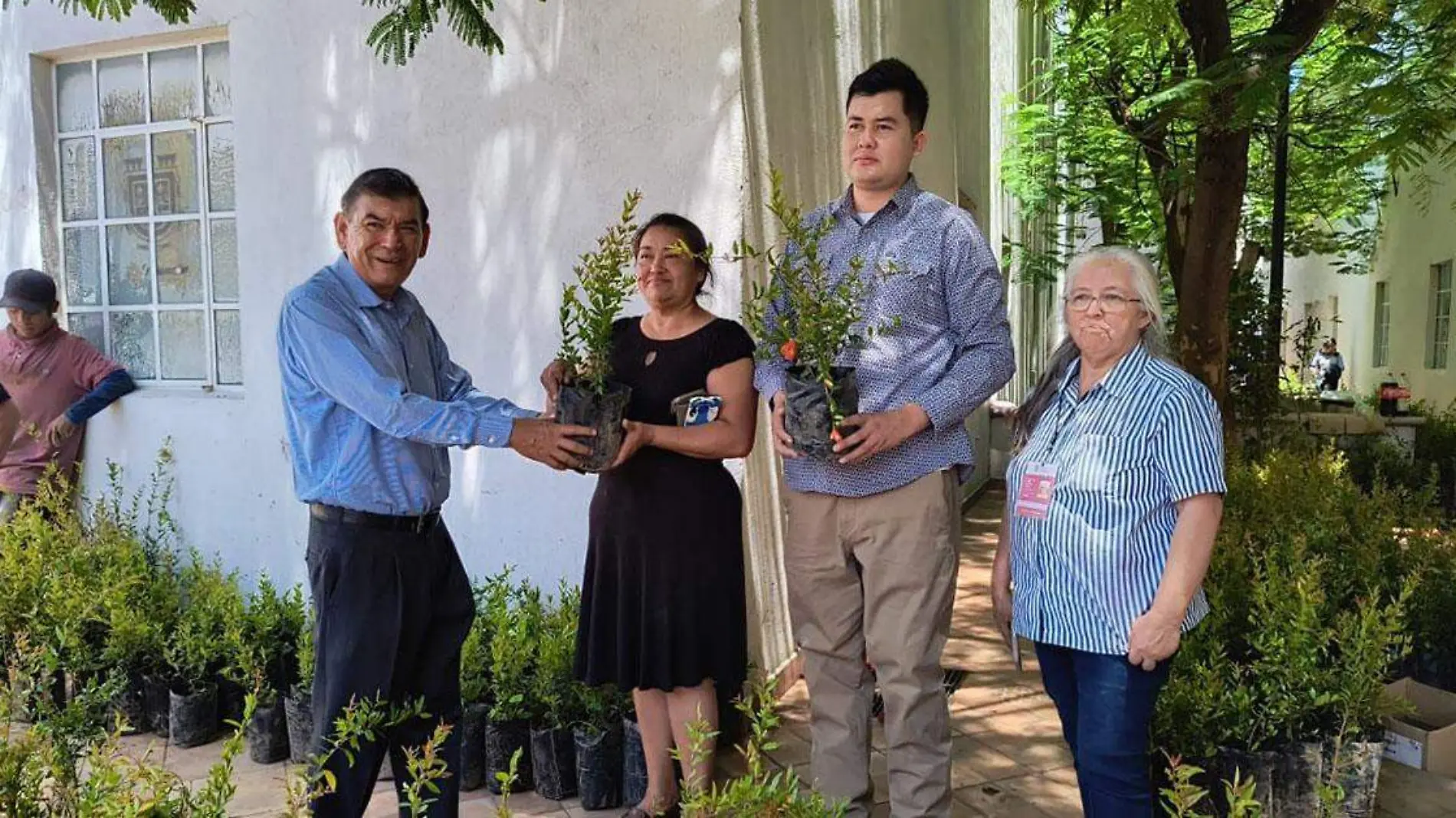 La Dirección de Desarrollo Rural, Agricultura y Ganadería realiza la donación de plantas de granada española